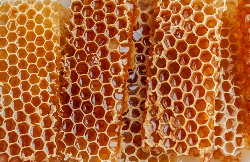 Bienenwachs - Natürliche Schutzbarriere