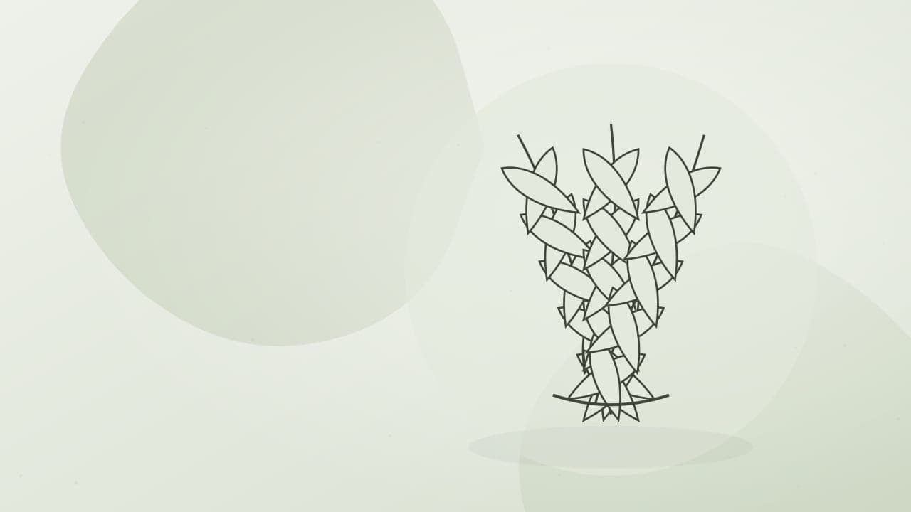 Naturseife-Inhaltsstoffe verstehen: ein kleiner Wegweiser